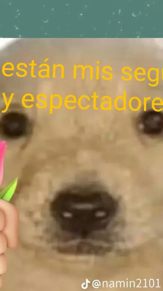 ai character: dadys world cats background