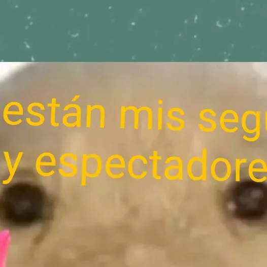 chat with ai character: dadys world cats