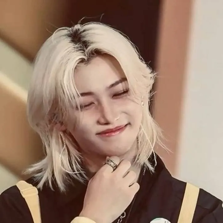 chat with ai character: 🐥Felix🐥 - skz