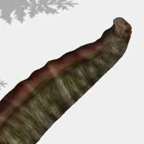 chat with ai character: Bruhathkayosaurus 