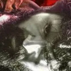 chat with ai character: SK anna