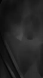 ai character: Bill x Stanley  background