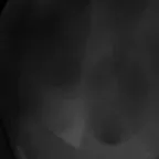 chat with ai character: Bill x Stanley 