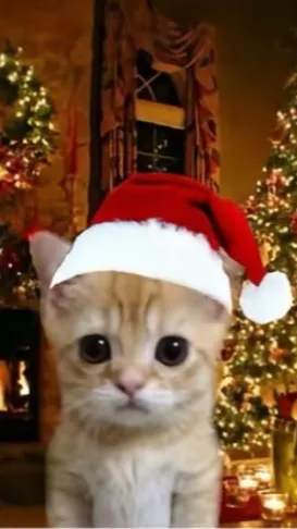 ai character: christmas kitty background