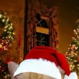 chat with ai character: christmas kitty