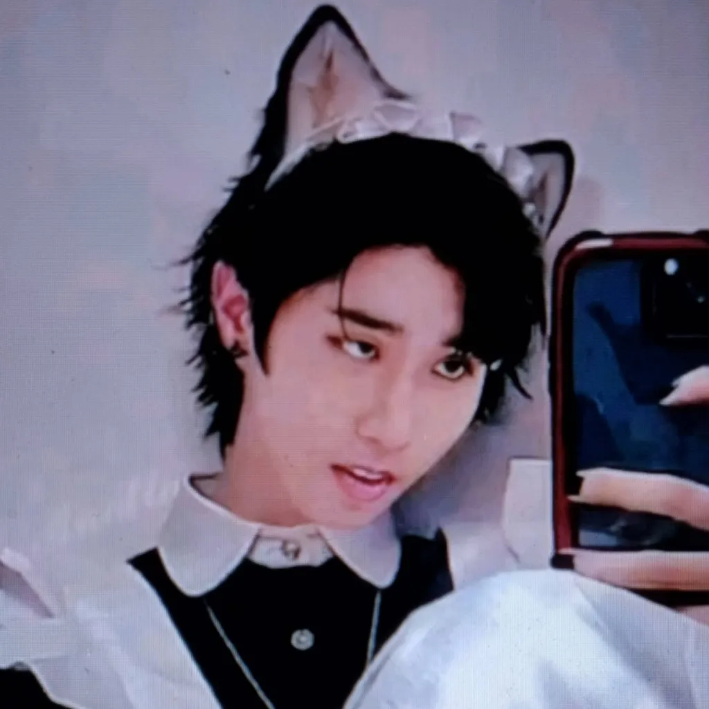 chat with ai character: maid han