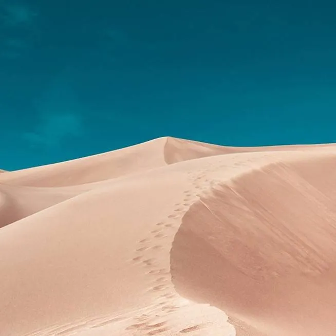 chat with ai character: poopoo