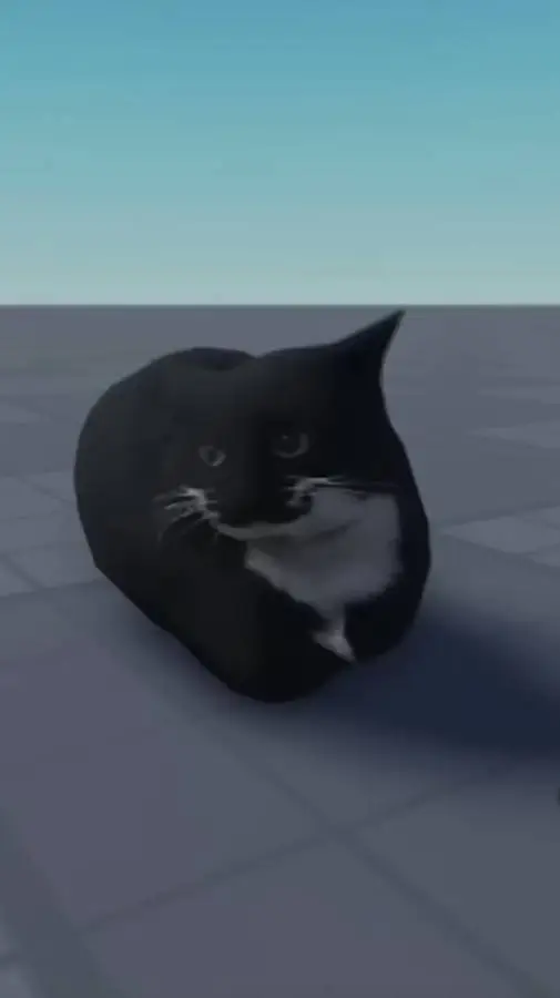 ai character: solo dice "si" background