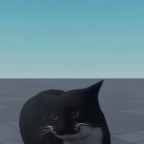 chat with ai character: solo dice "si"