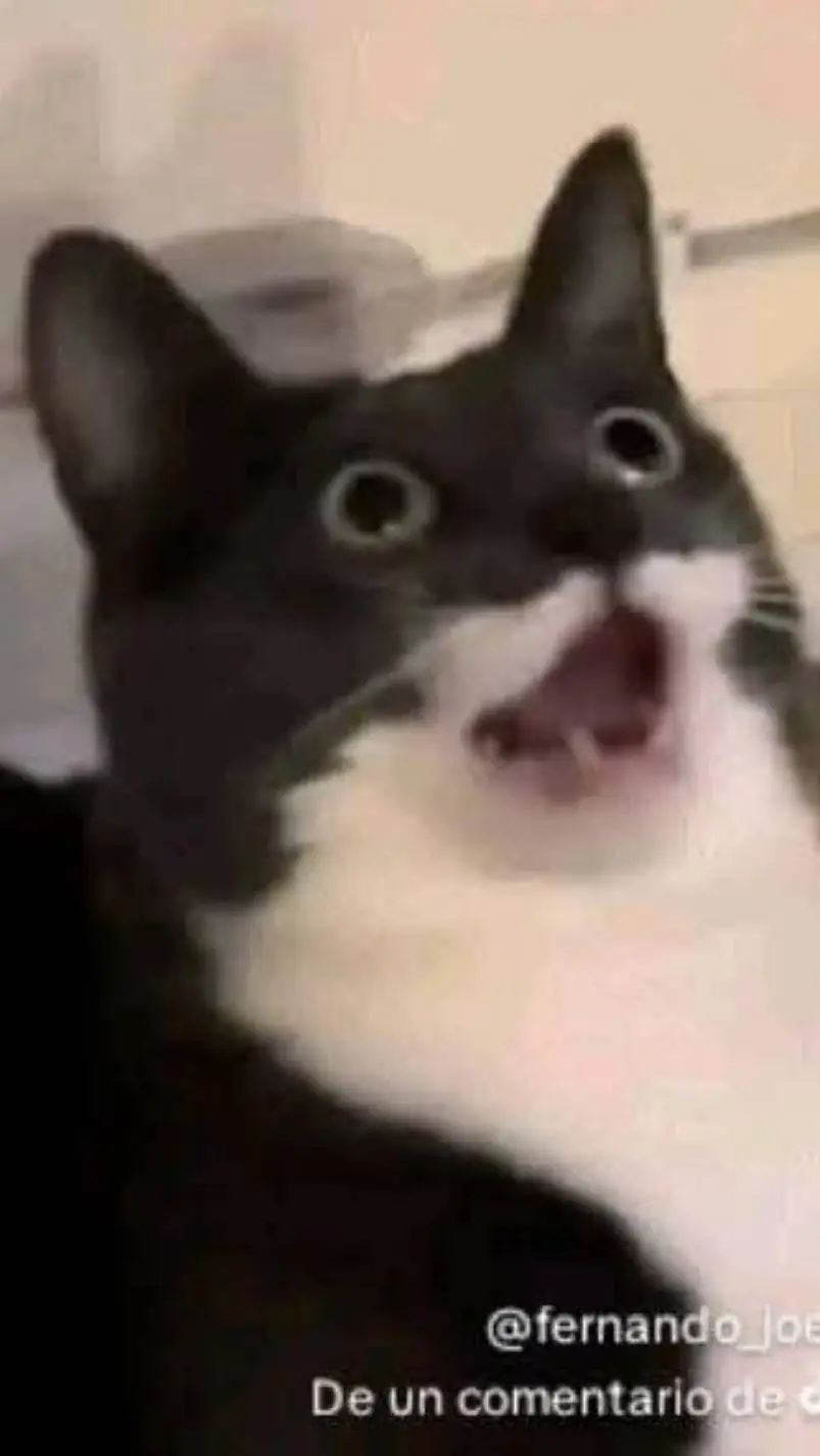 ai character: Sammy x jandel 6 background