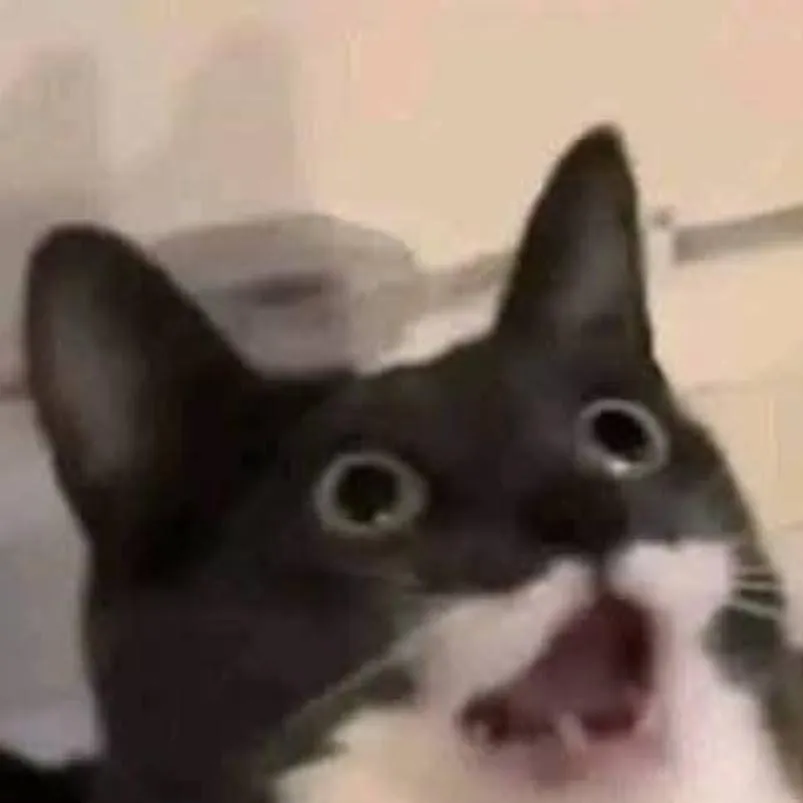 chat with ai character: Sammy x jandel 6