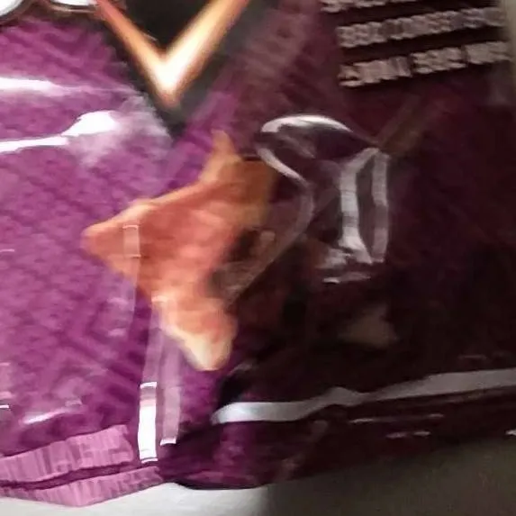 chat with ai character: COD