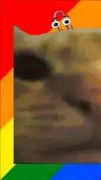 ai character: Cat Bot background