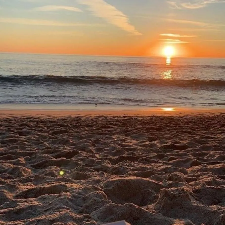chat with ai character: Beach trip