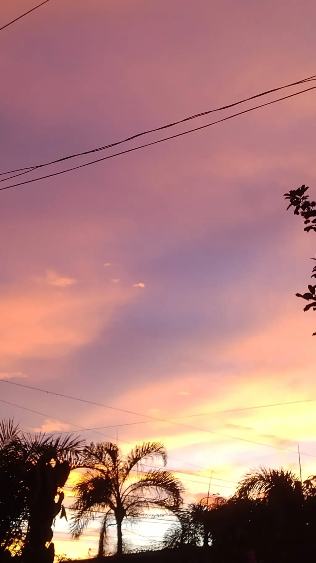 ai character: Cathy background