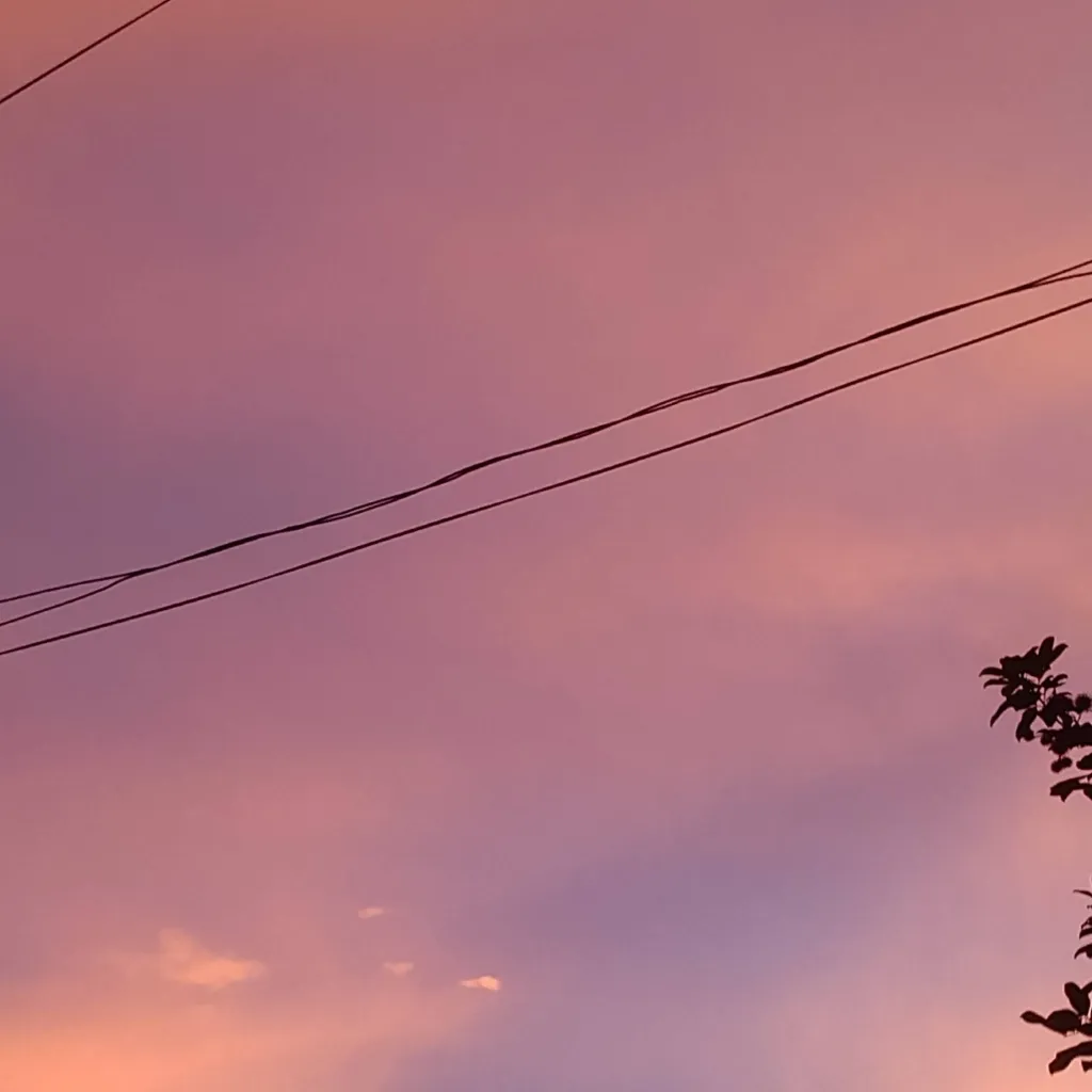 chat with ai character: Cathy