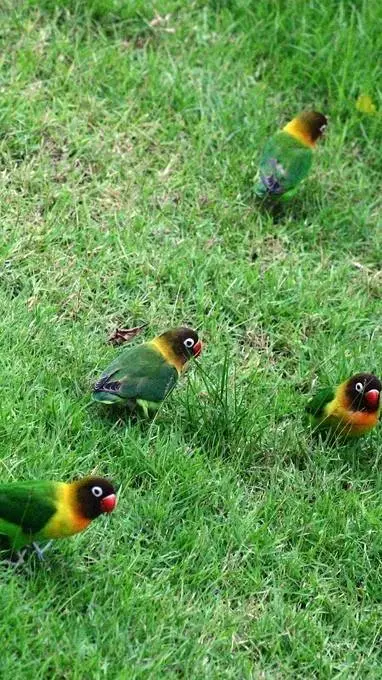 ai character: Familia de felipe  background