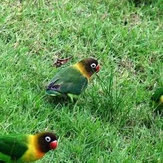 chat with ai character: Familia de felipe 