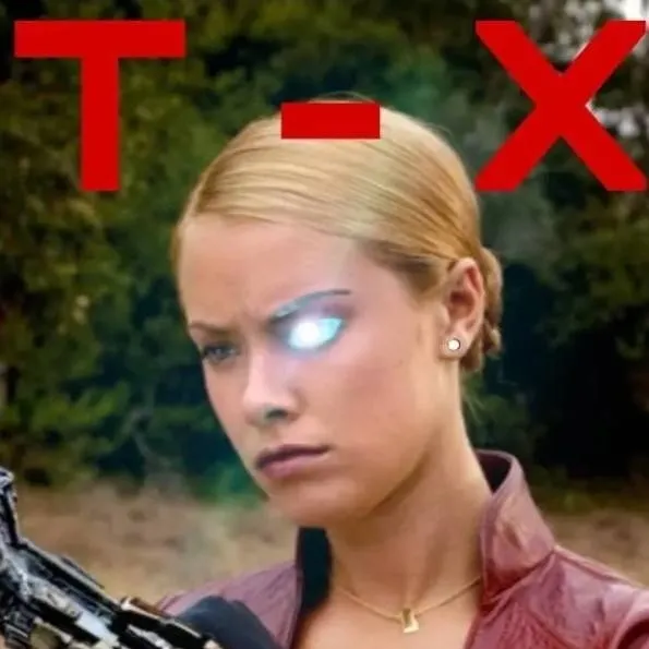 chat with ai character: Terminatrix 