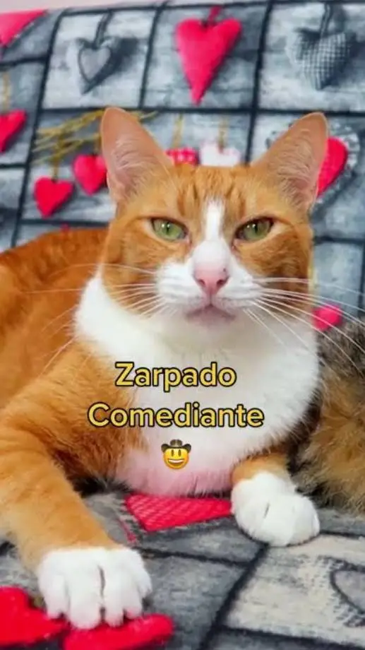 ai character: Wine XD background