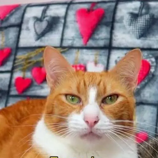 chat with ai character: Wine XD