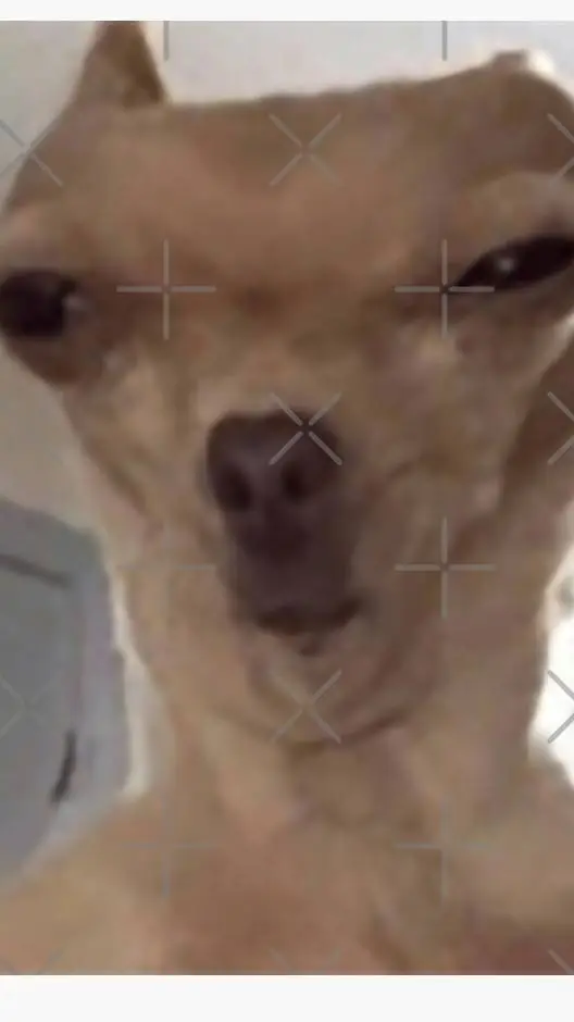 ai character: cod background