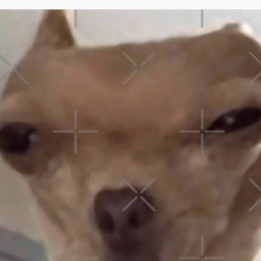 chat with ai character: cod