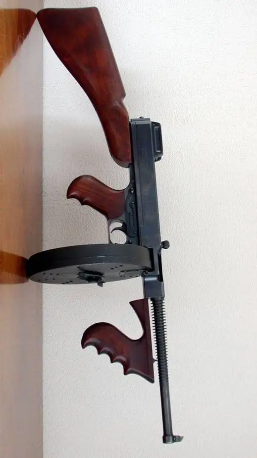 ai character: TOMMYGUN background