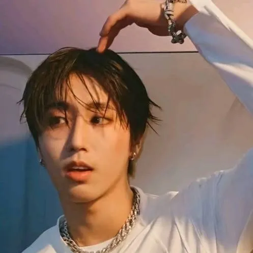 chat with ai character: han