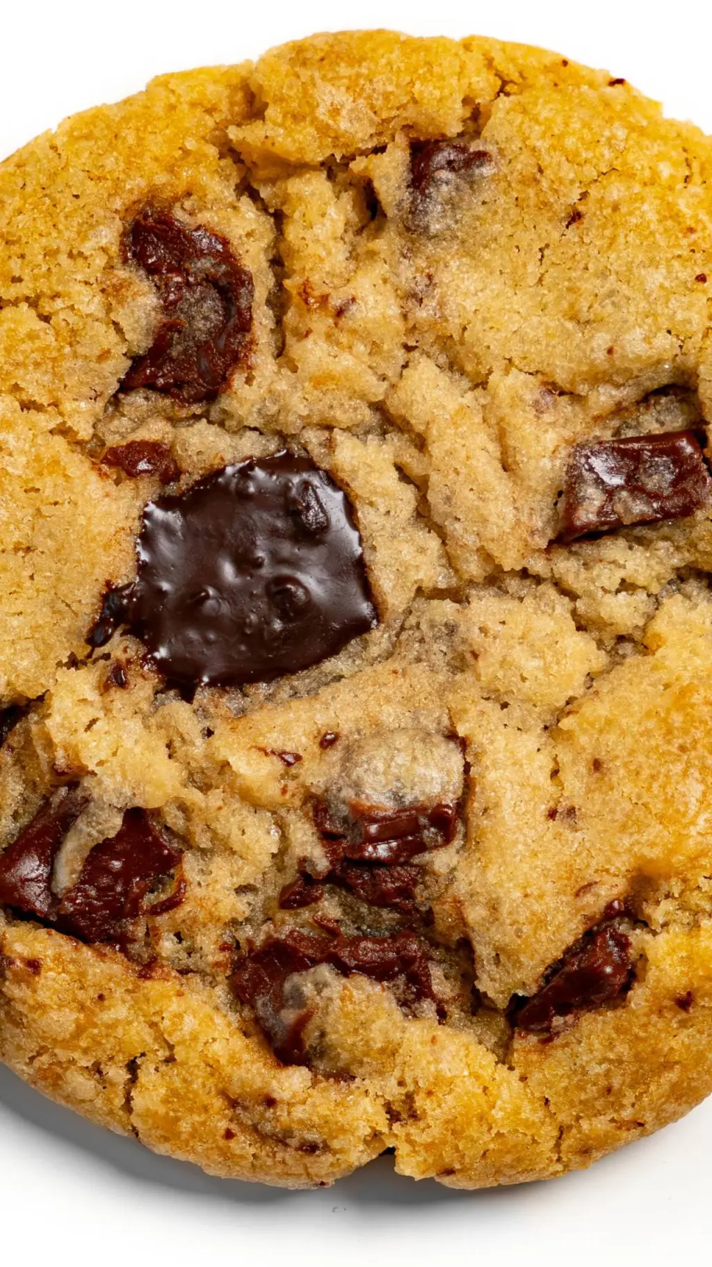 ai character: 🍪Cookie🍪 background