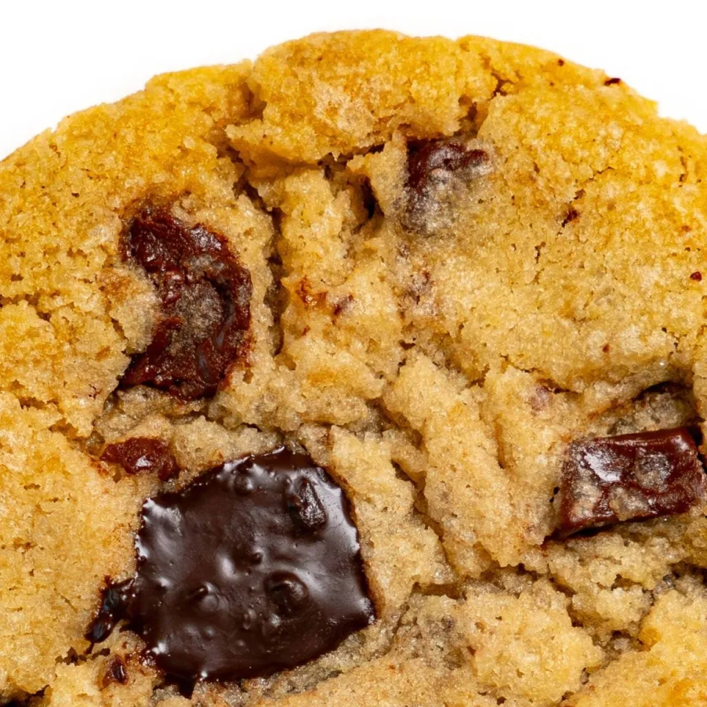 chat with ai character: 🍪Cookie🍪