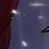chat with ai character: Agony. 