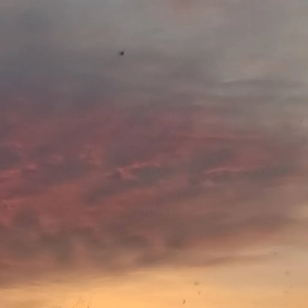 chat with ai character: Spamtenna pt10