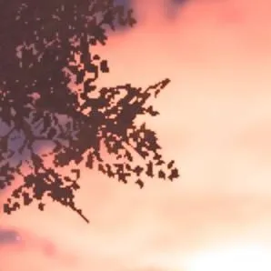 chat with ai character: Freaky cosmo