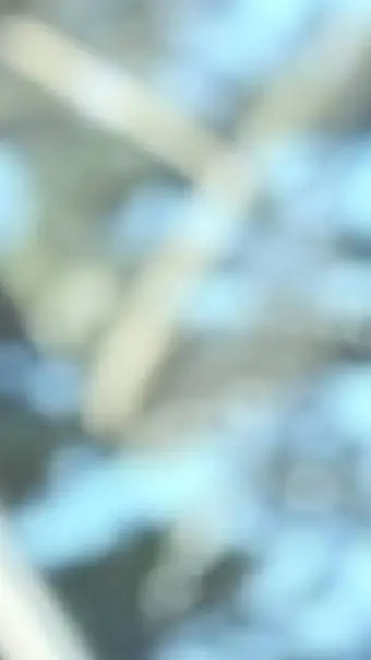 ai character: Day background