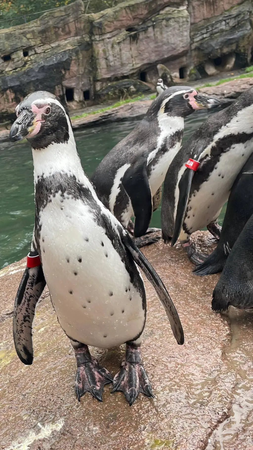 ai character: Horror  background