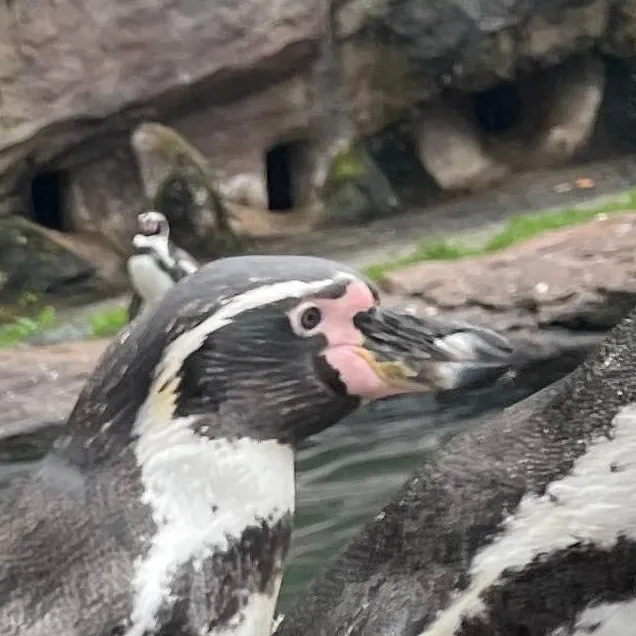 chat with ai character: Horror 