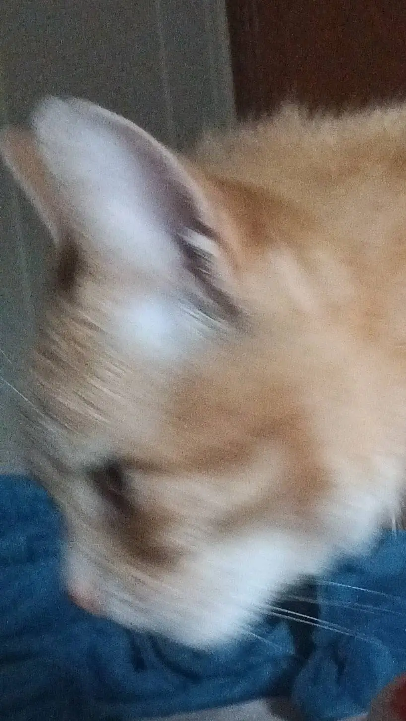 ai character: creators world background