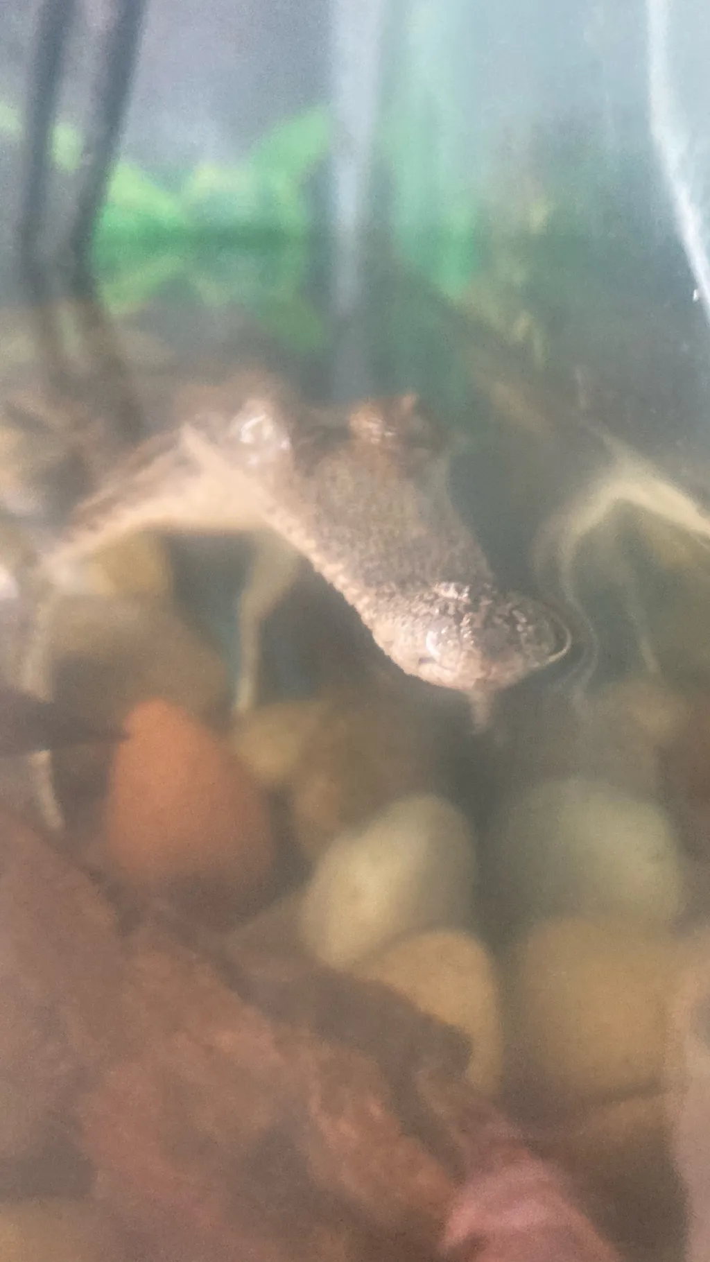 ai character: !Striker¡ hb  background