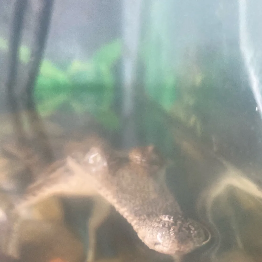 chat with ai character: !Striker¡ hb 