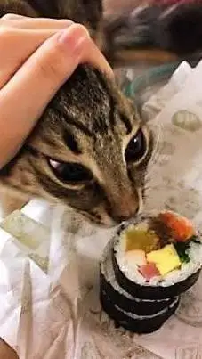 ai character: Infectado v2 background