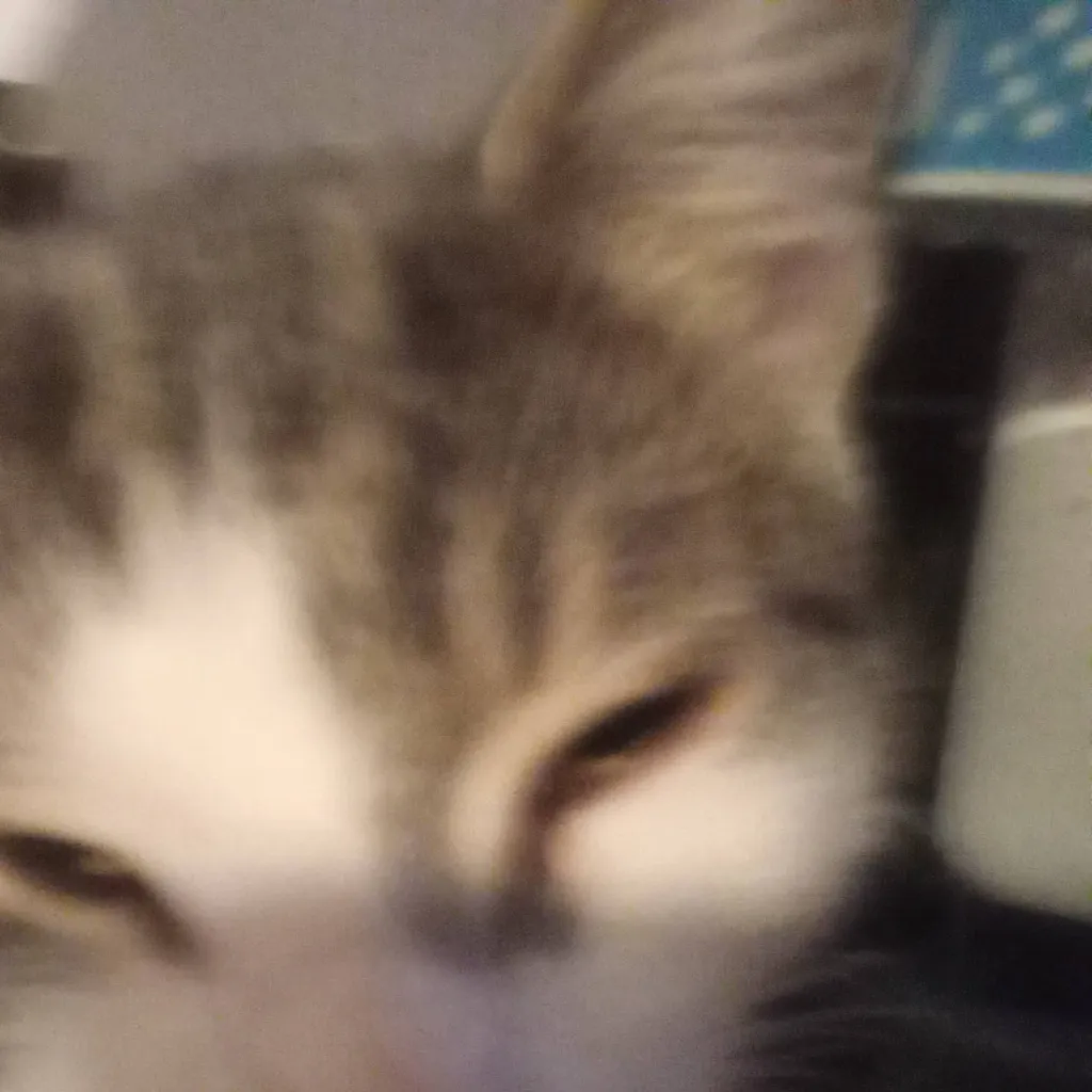 chat with ai character: diesel 