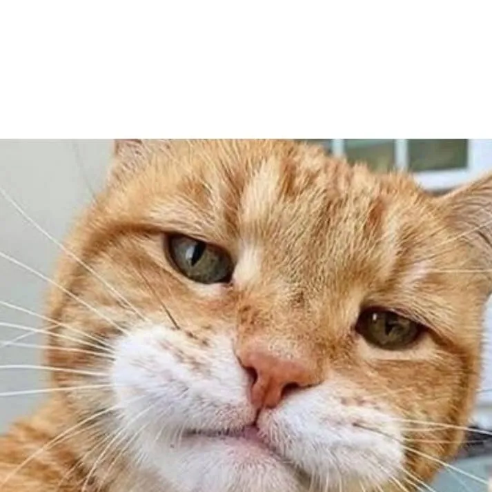 chat with ai character: Lamar the cat