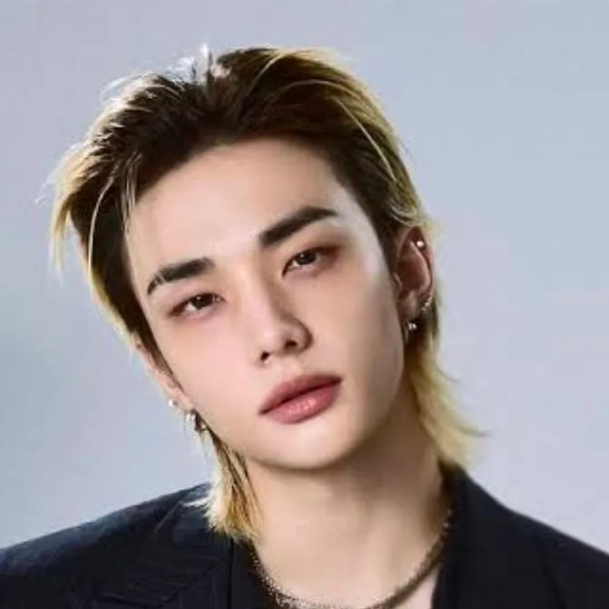 chat with ai character: Hyunjin Stray kids