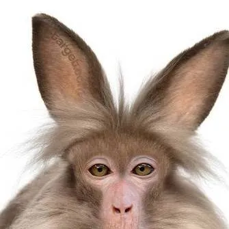 chat with ai character: Тимур