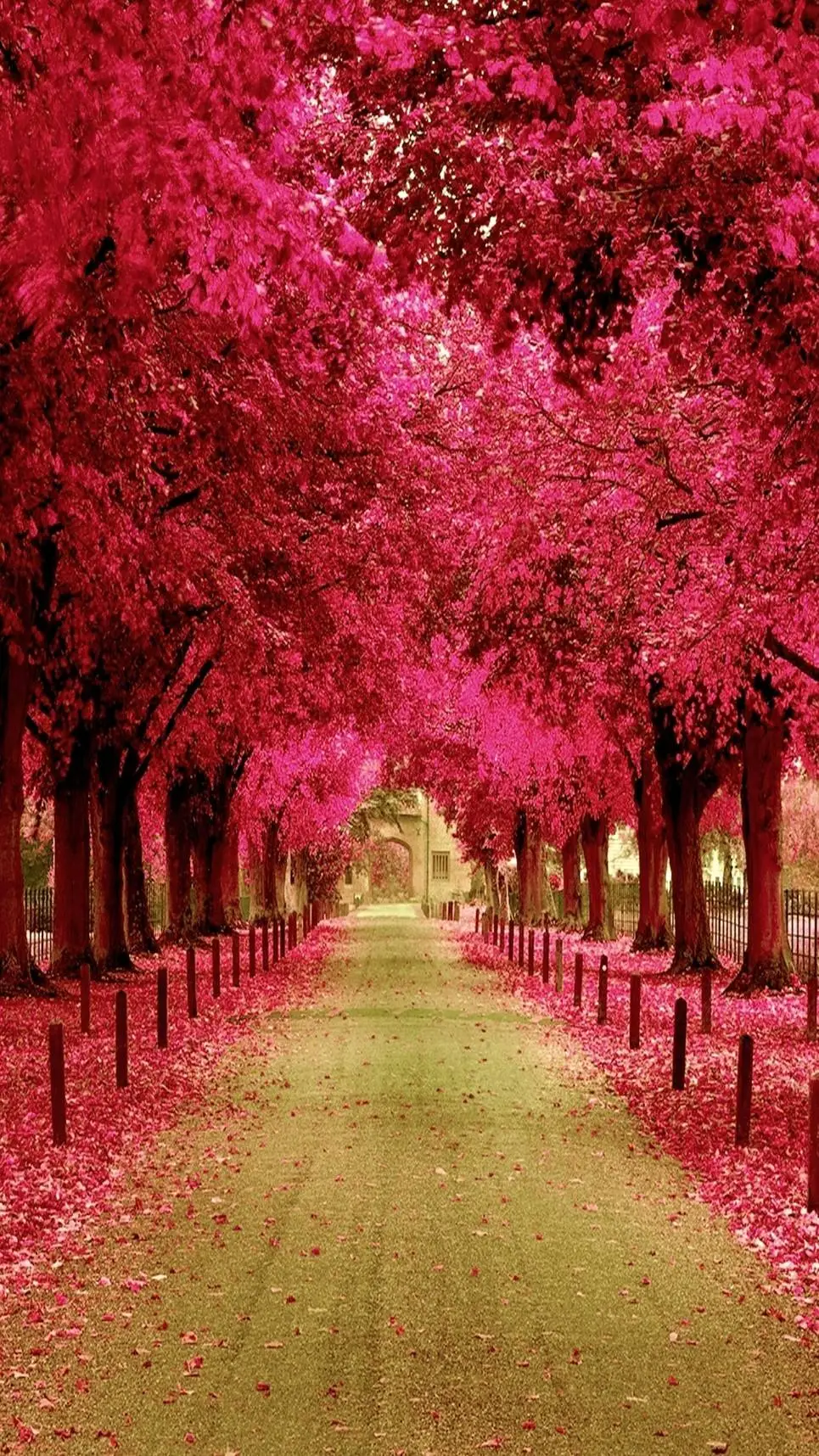 ai character: backrooms background