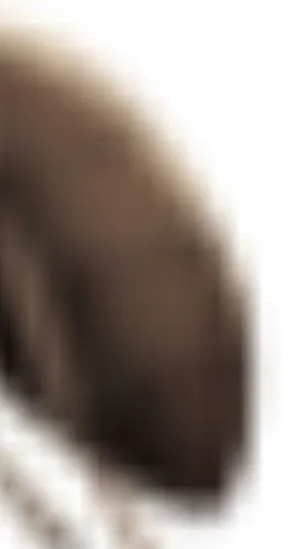 ai character: ☆彡彡dyleミミ☆ background