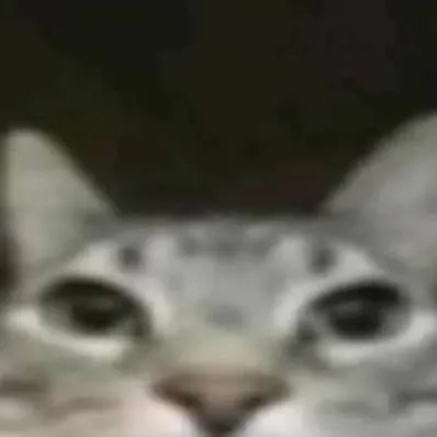chat with ai character: gato menso