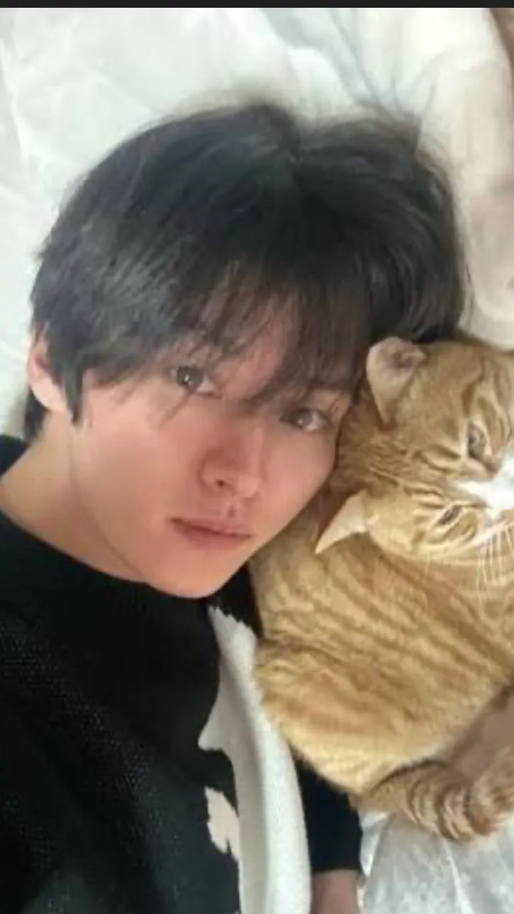 ai character: Lee know anniversa background