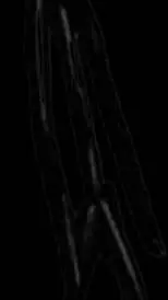 ai character: lost chill  background